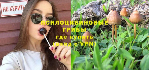 не бодяженный Абдулино