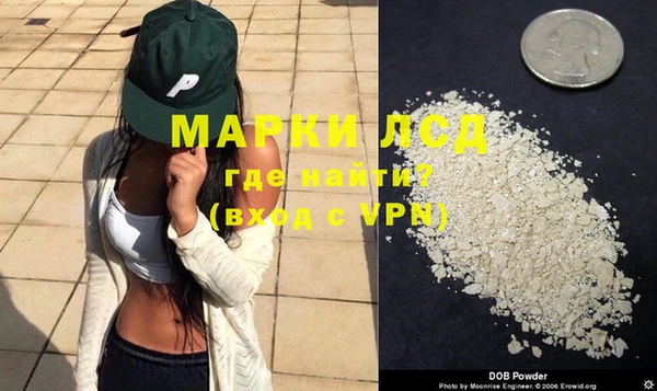 прущие грибы Абинск