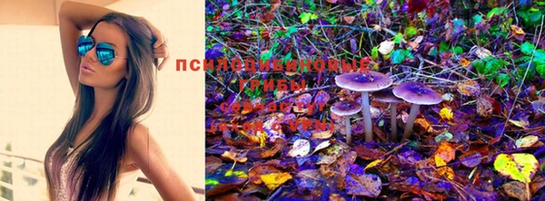 хмурый Алексеевка