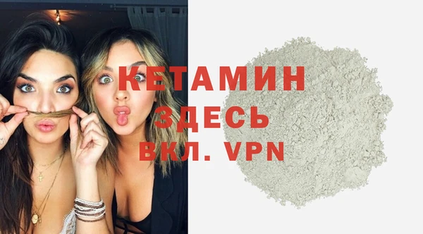 прущие грибы Абинск