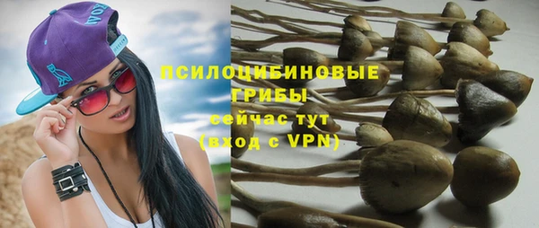 таблы Алексин