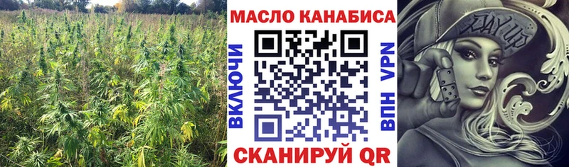 мега tor  Искитим  ТГК концентрат 