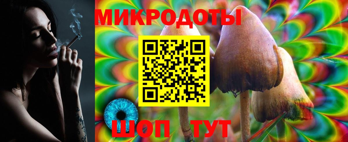 Псилоцибиновые грибы Cubensis  Вход с VPN  Искитим 